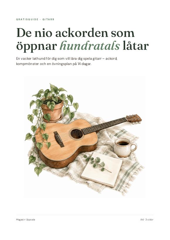 Omslag till Gitarrlathund: de nio ackorden som öppnar hundratals låtar