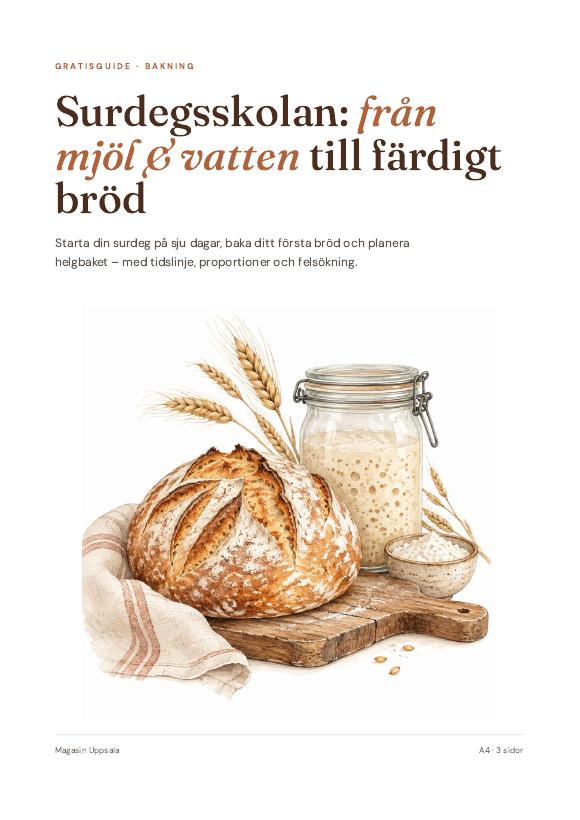 Omslag till Surdegsskolan: från mjöl och vatten till färdigt bröd
